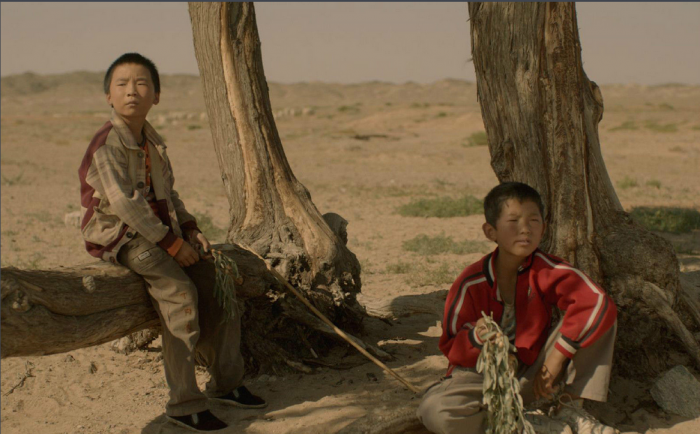 真人在线游戏平台