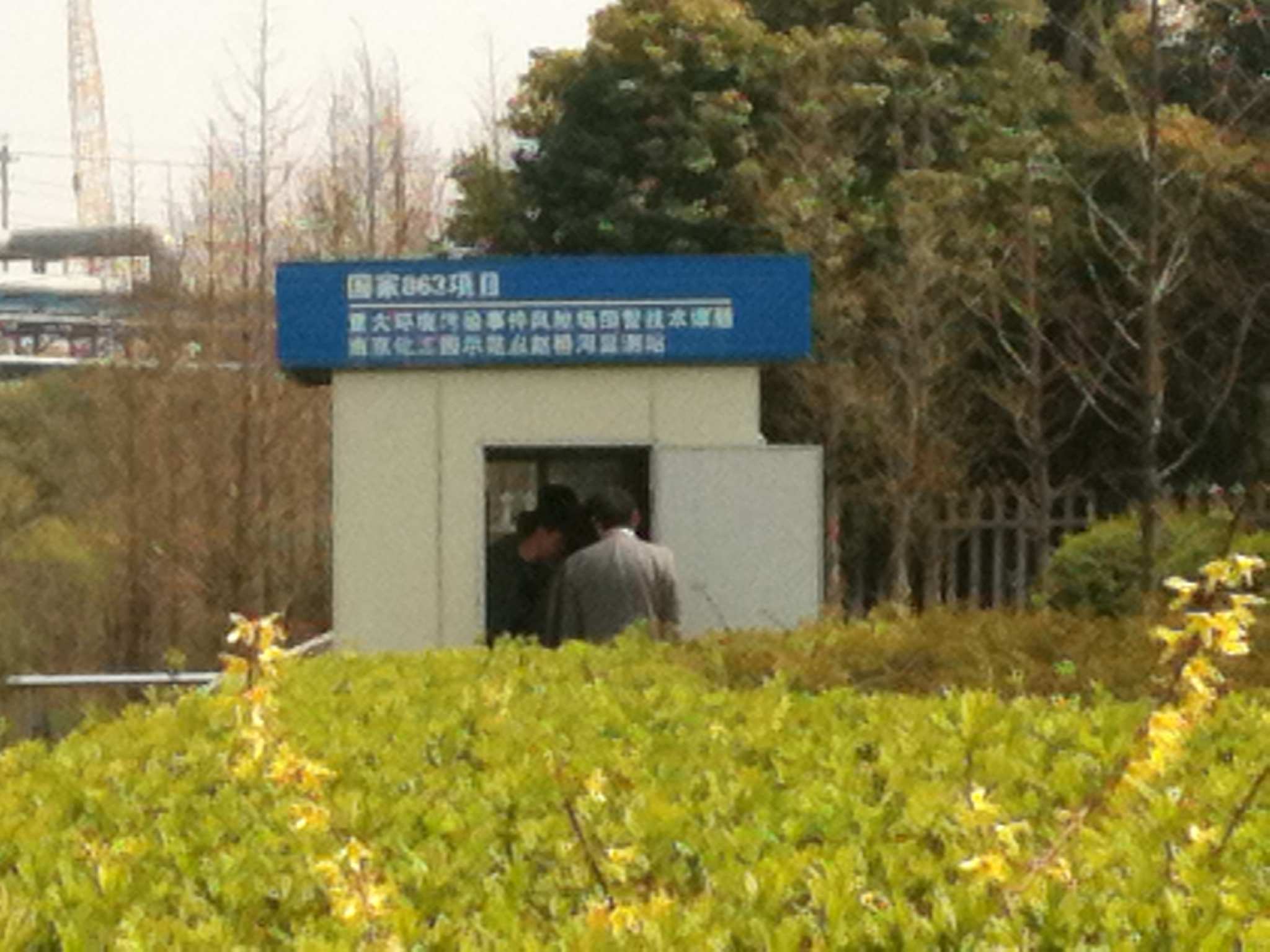 真人在线游戏平台