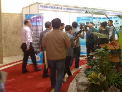 真人在线游戏平台