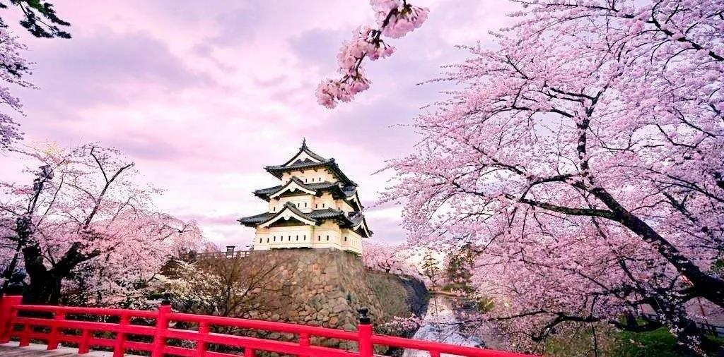 1586326333978112.jpg 1586326333978112.jpg