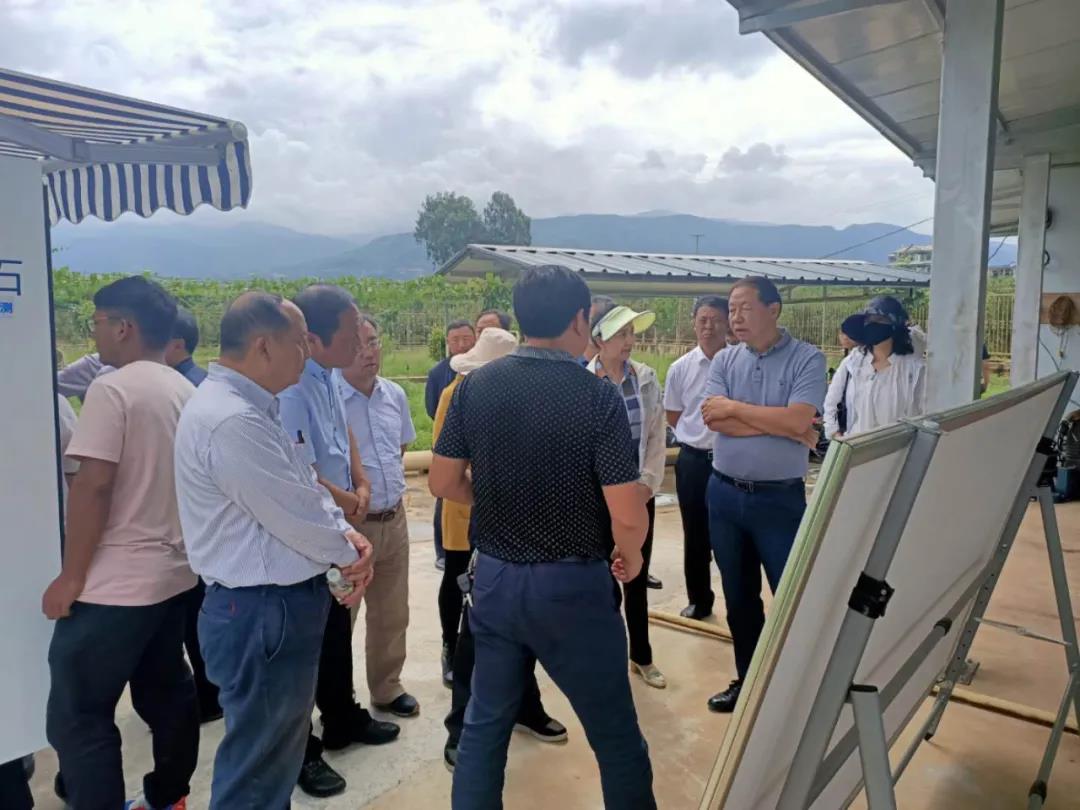 1600064913130425.jpg 1600064913130425.jpg