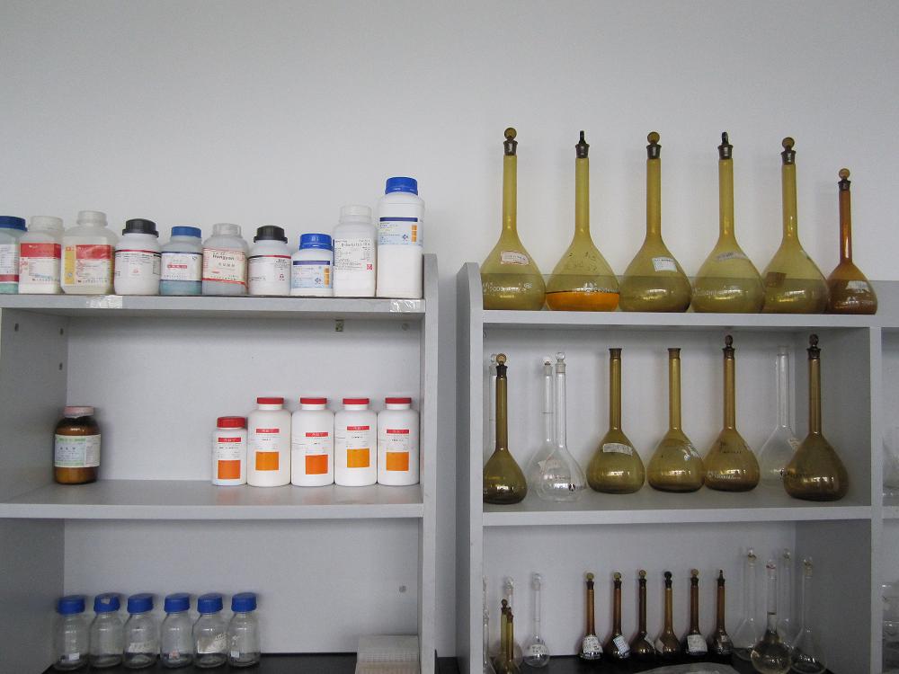 真人在线游戏平台